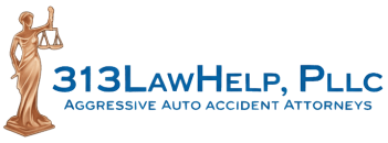313 Law Help